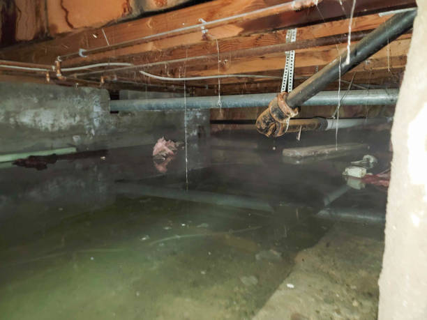 Best Water damage restoration near me  in Fuquay Varina, NC