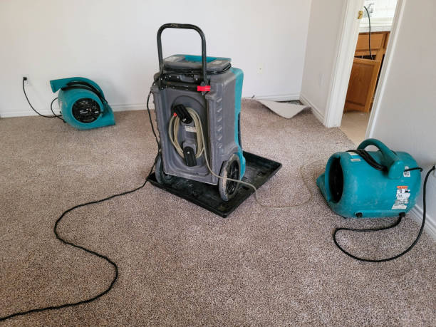 Best 24-hour water damage restoration  in Fuquay Varina, NC
