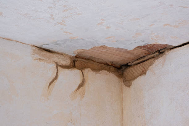 Best Carpet water damage restoration  in Fuquay Varina, NC