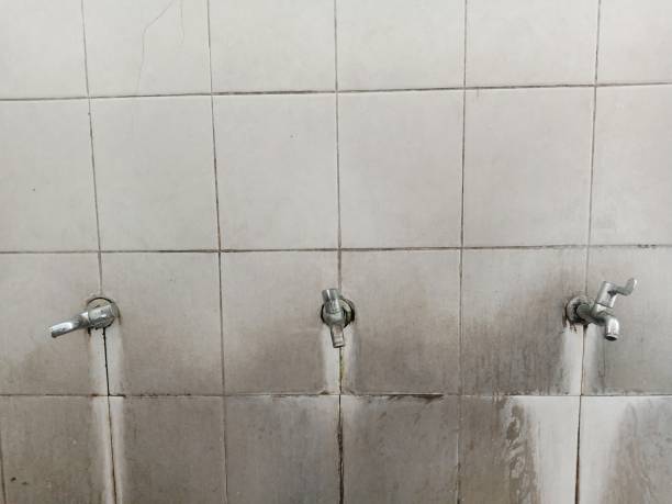 Best Ceiling water damage repair  in Fuquay Varina, NC
